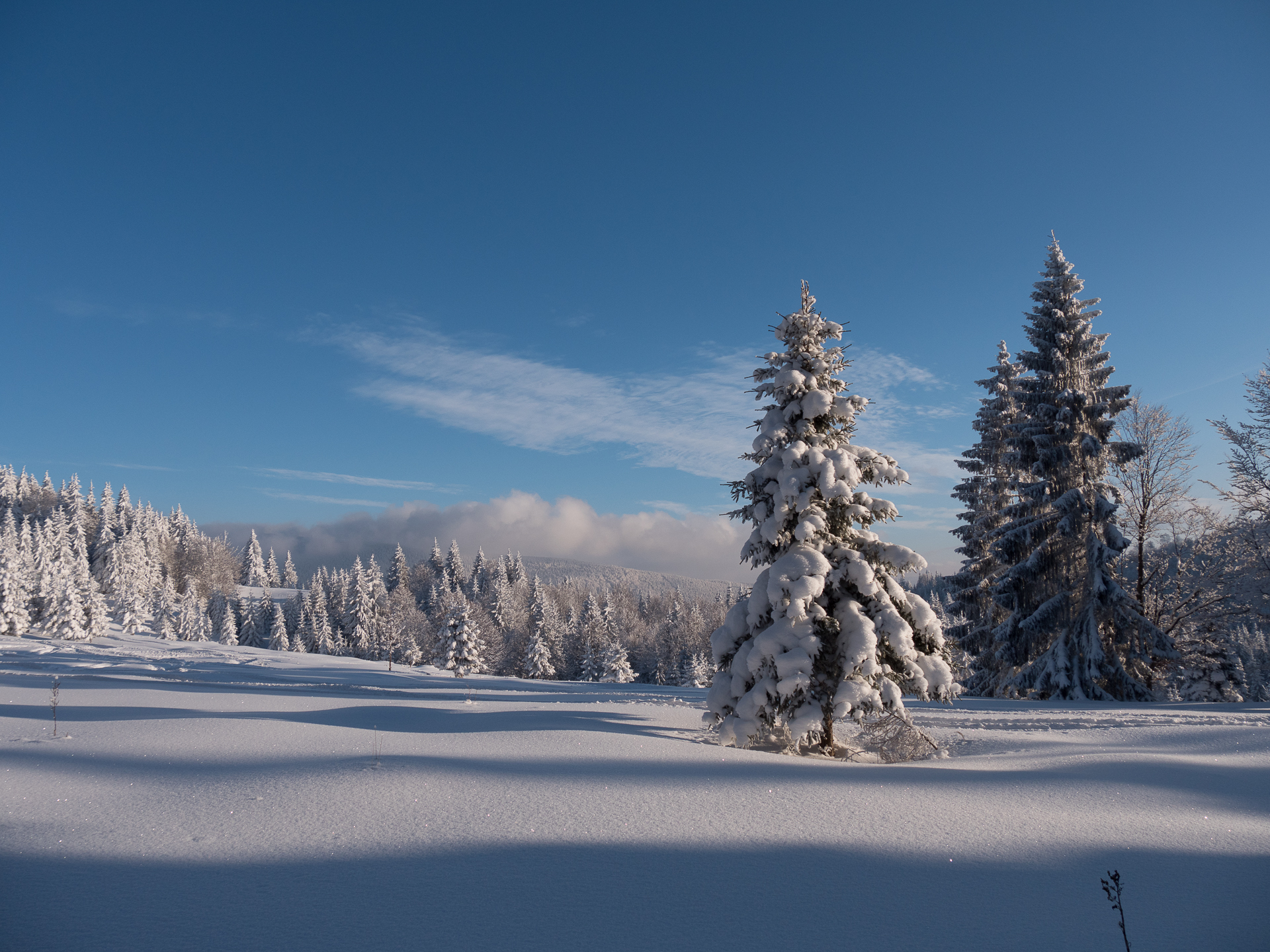 2015-Snow-2.jpg