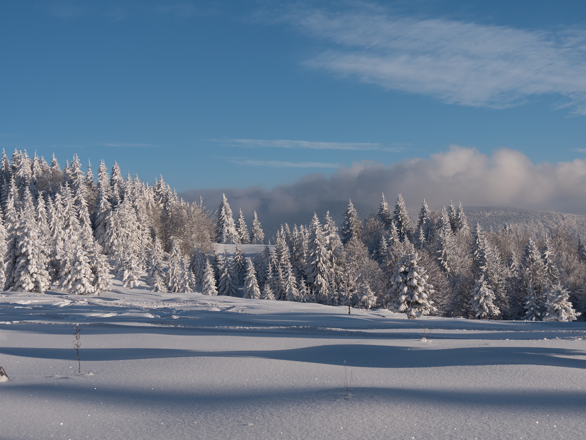 2015-Snow-3.jpg
